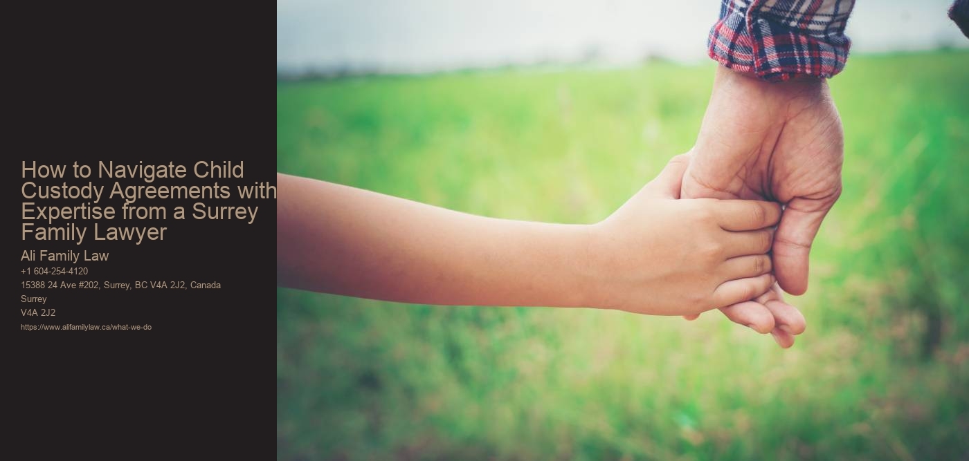 How to Navigate Child Custody Agreements with Expertise from a Surrey Family Lawyer