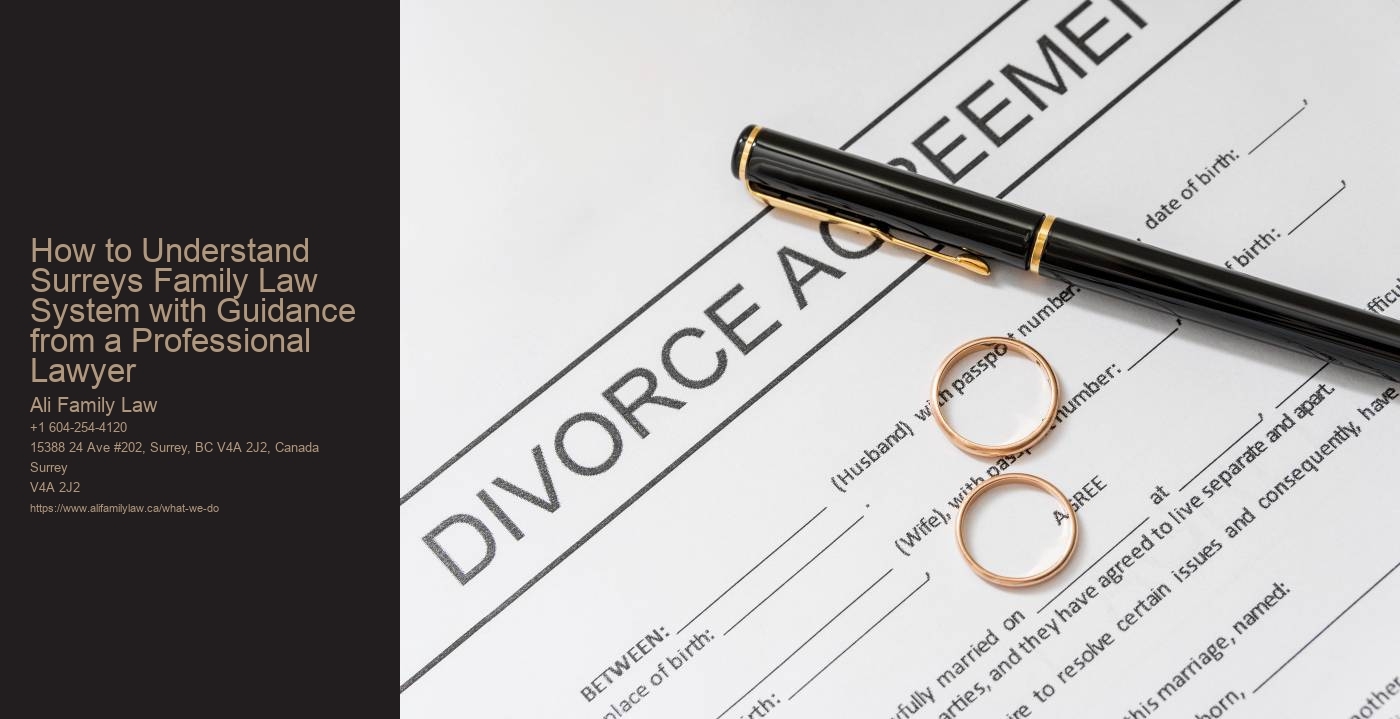 How to Understand Surreys Family Law System with Guidance from a Professional Lawyer