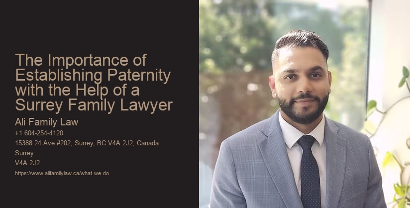 The Importance of Establishing Paternity with the Help of a Surrey Family Lawyer