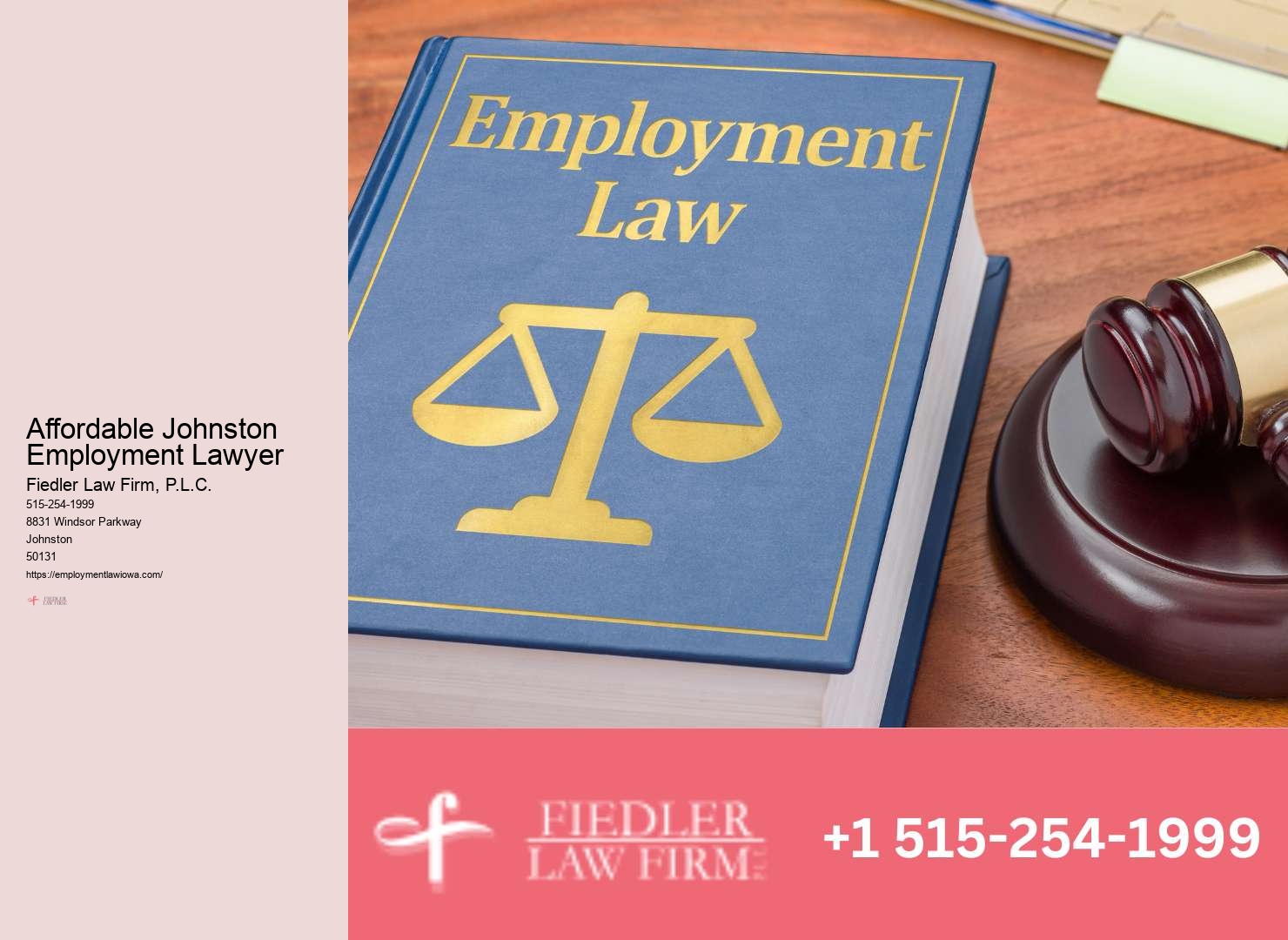 Johnston Employment Law Expert Advisory