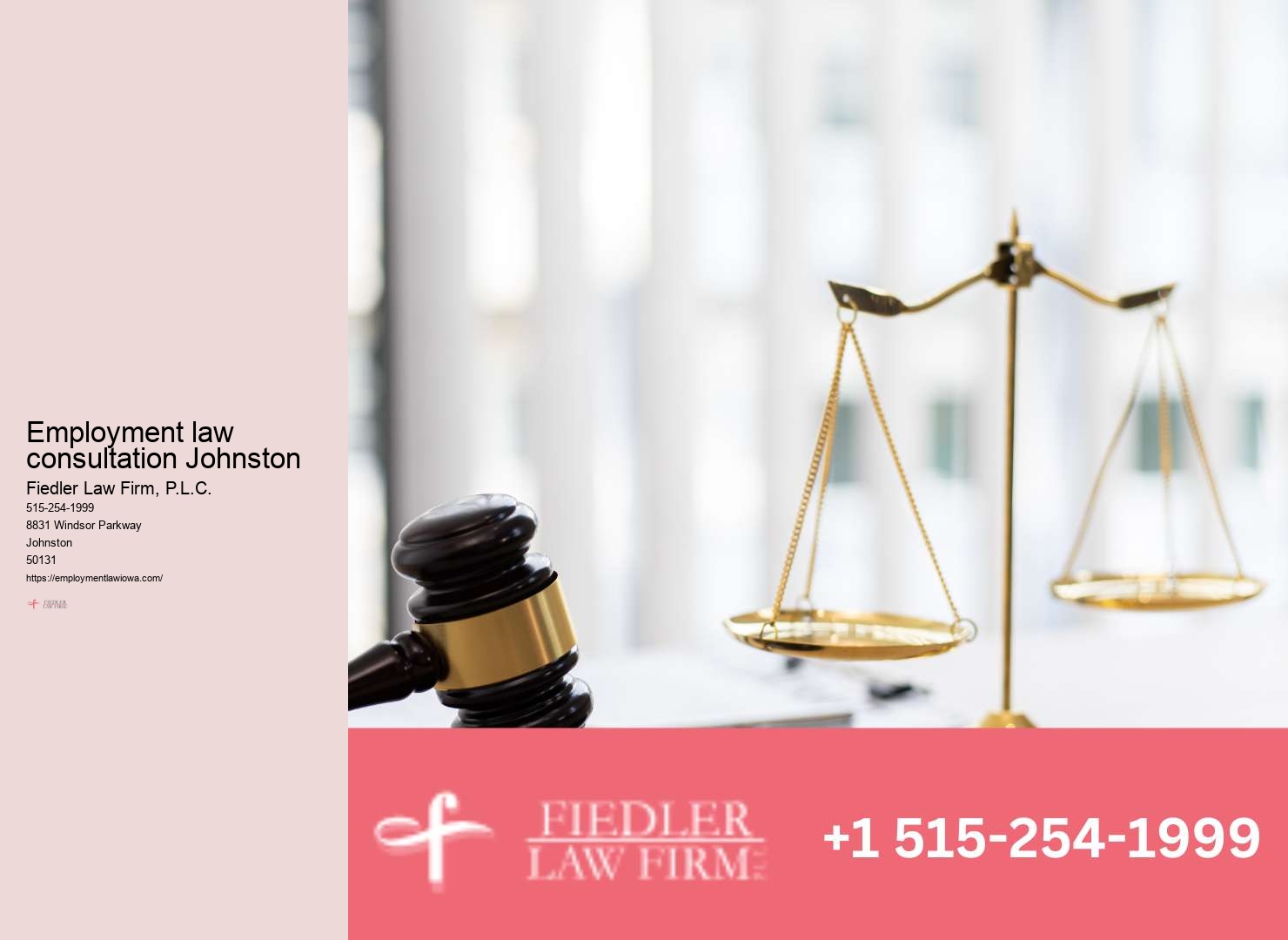 Employment Lawyer Johnston legal employer rights