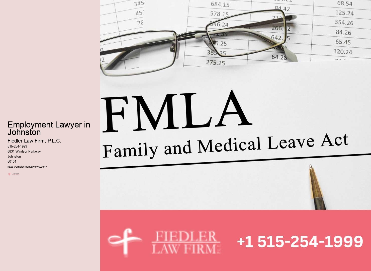 Premier Government Employment Lawyer Johnston