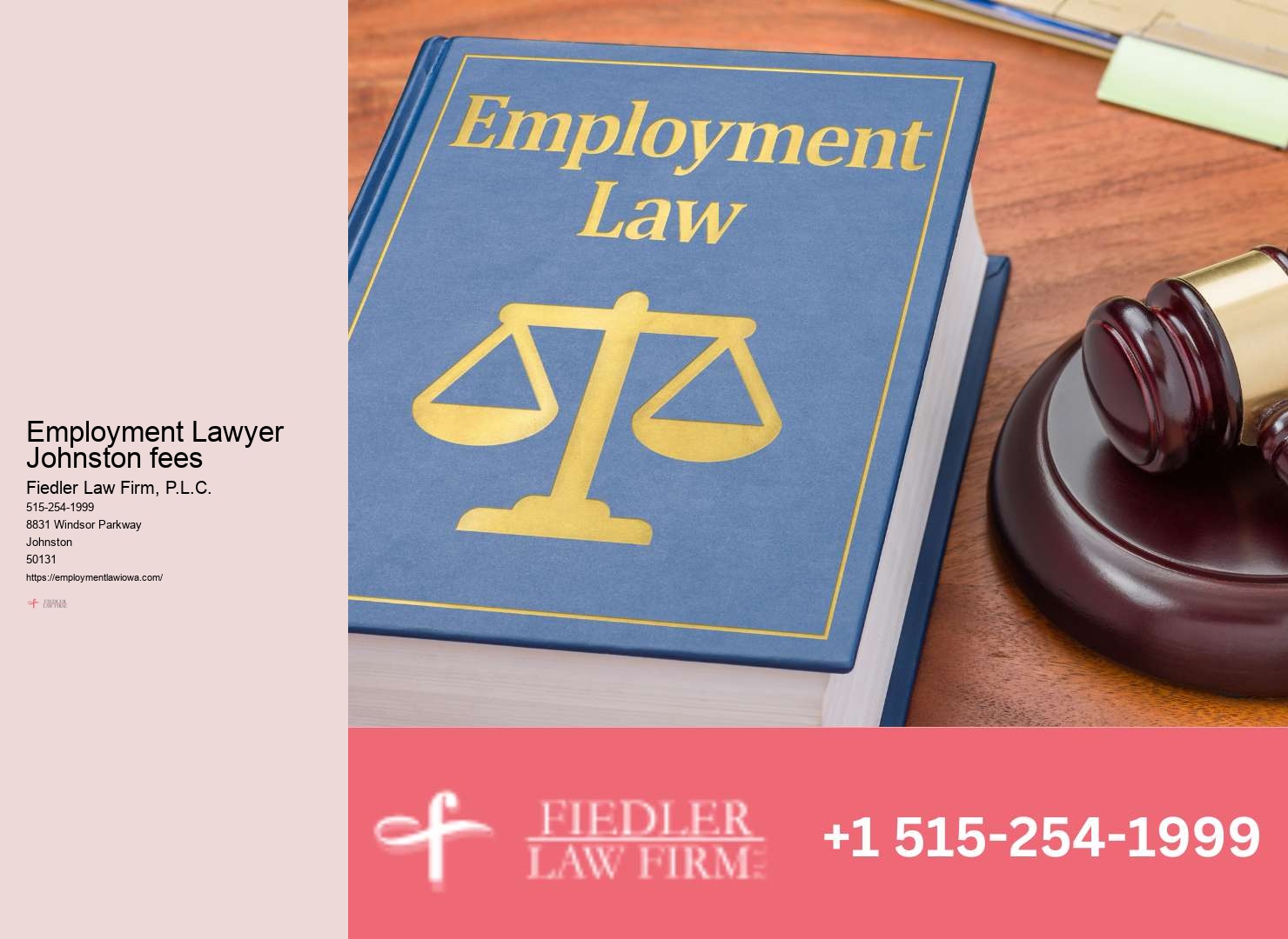 What does an Employment Lawyer Johnston do