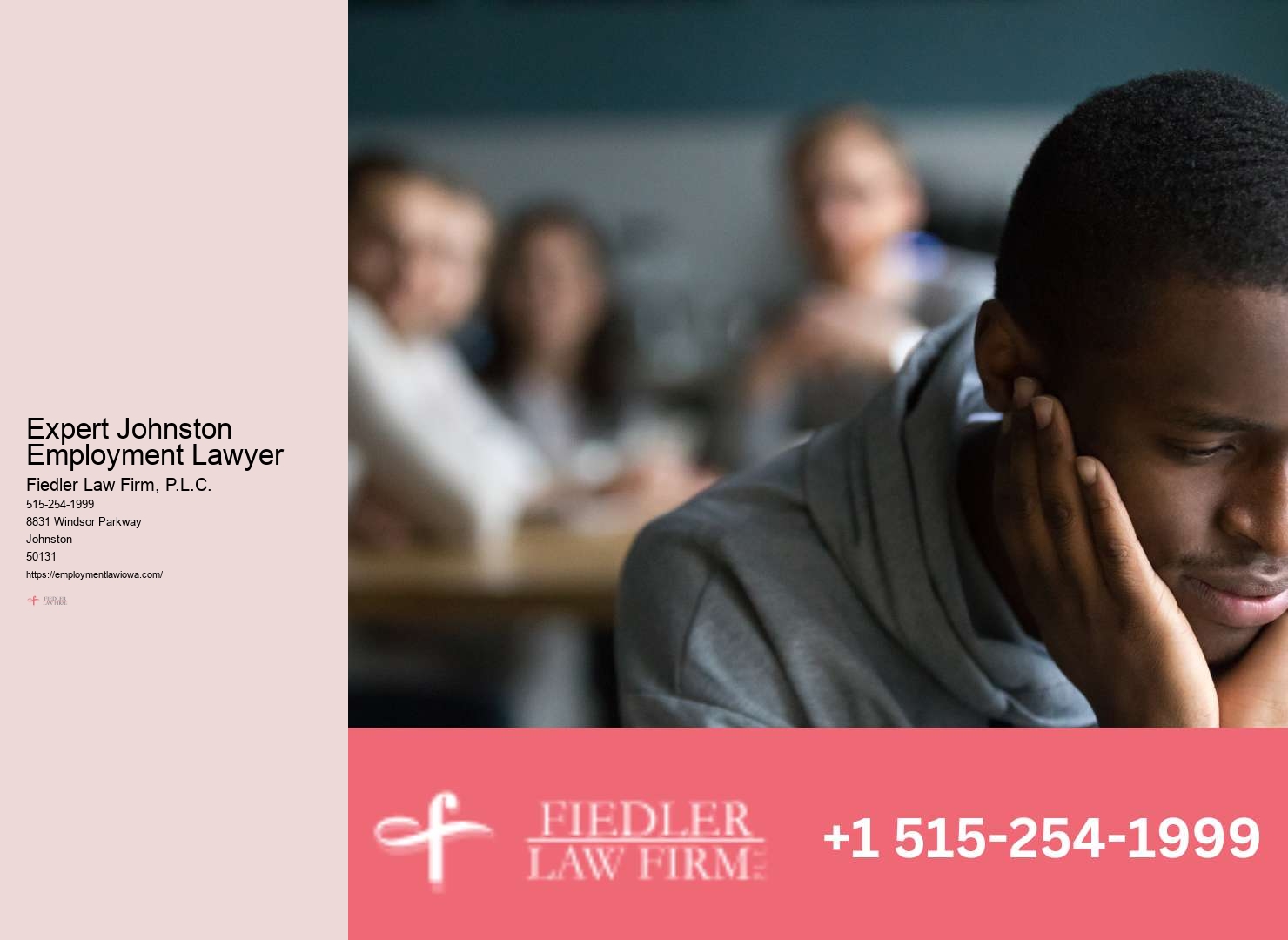 Johnston Employment Law Consultation Expert Advisory
