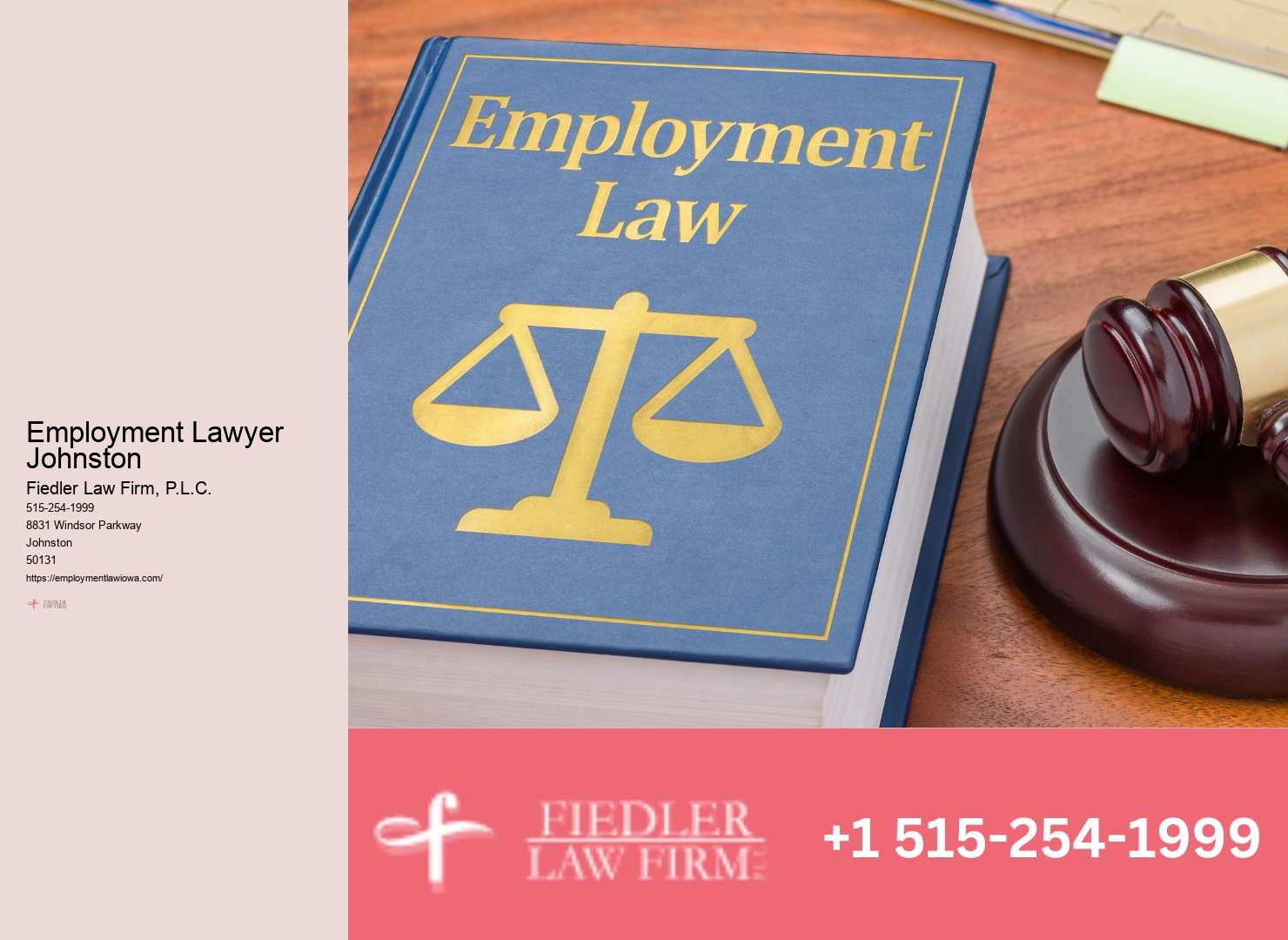 Experienced Government Employment Lawyer Johnston