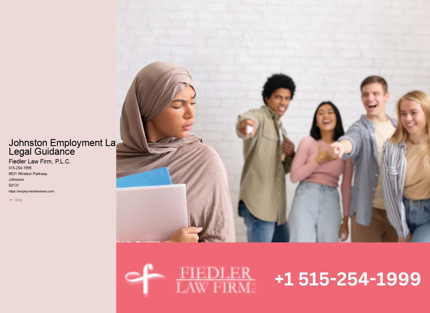 Premier Government Employment Lawyer Johnston