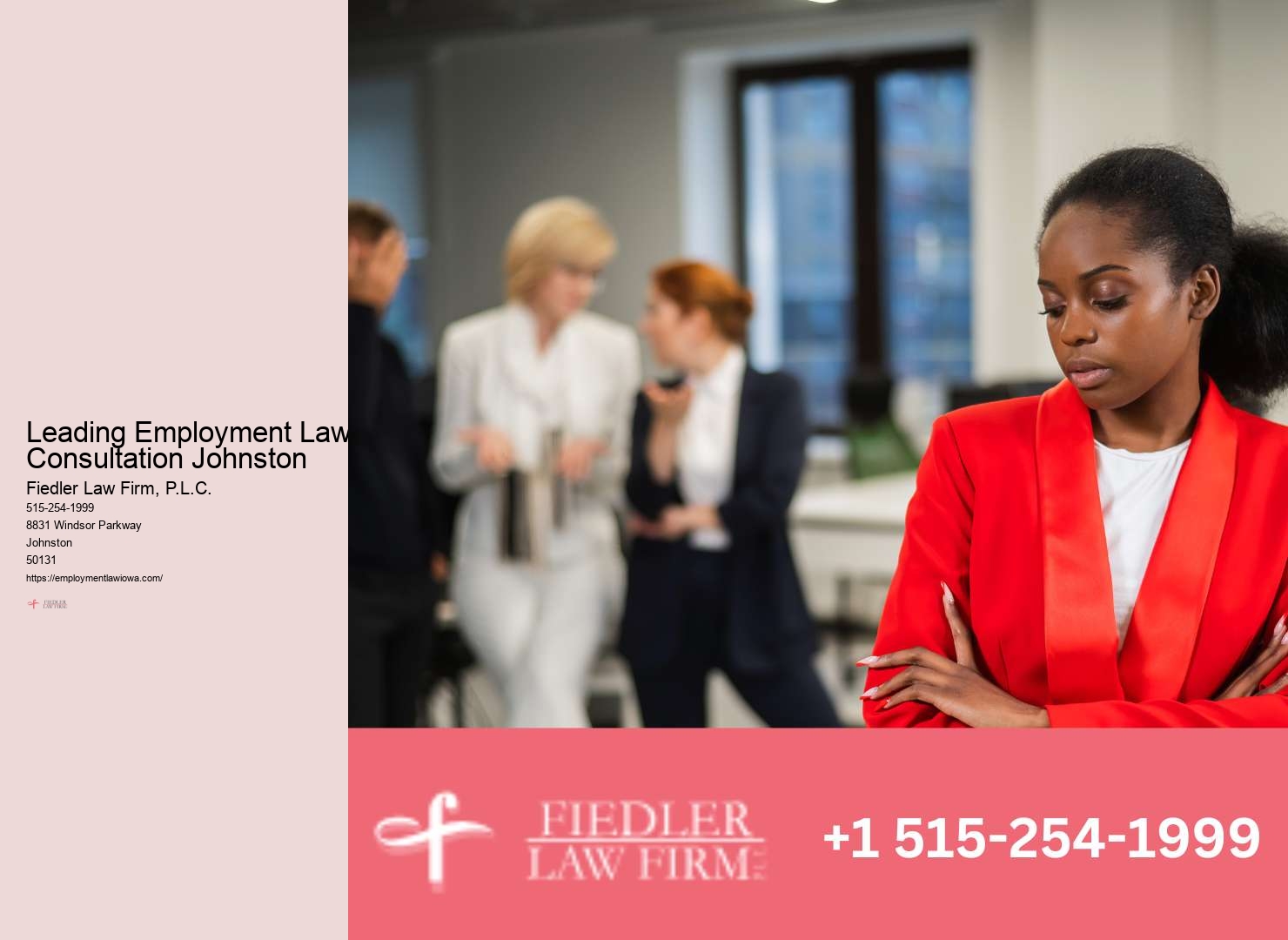Johnston Employment Law Consultation Firm Specialist Legal Expertise