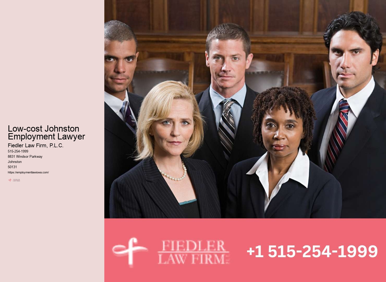 Johnston Employment Law Consultation Firm Support Expertise