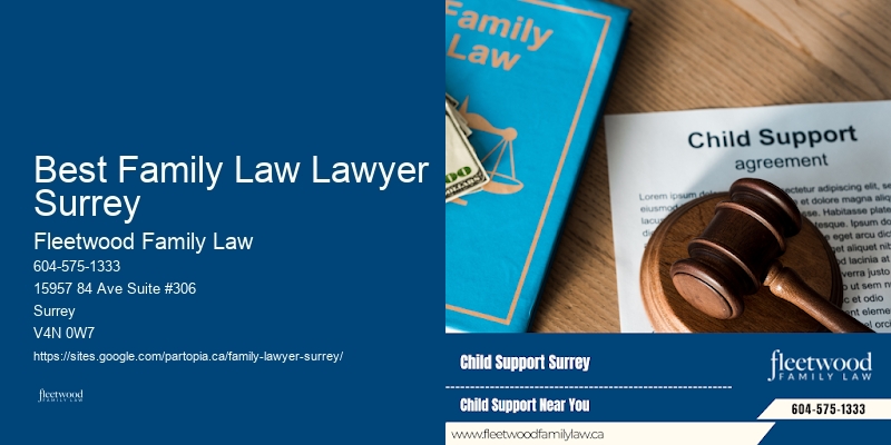 Best Family Law Lawyer Surrey Family Law Lawyer