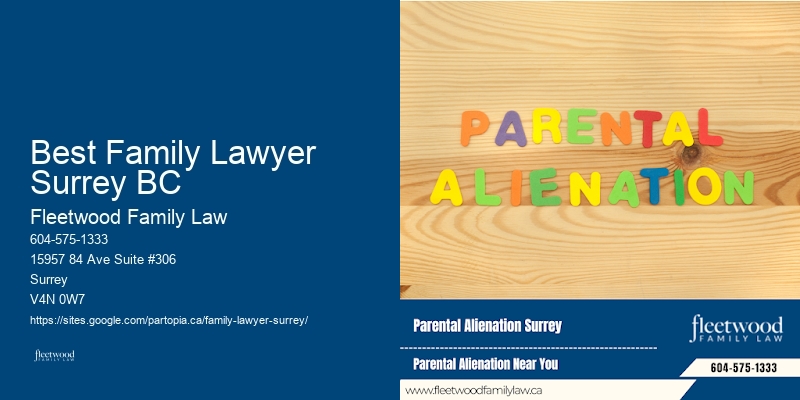 Top Family Law Attorney Best Family Lawyer Surrey BC BC