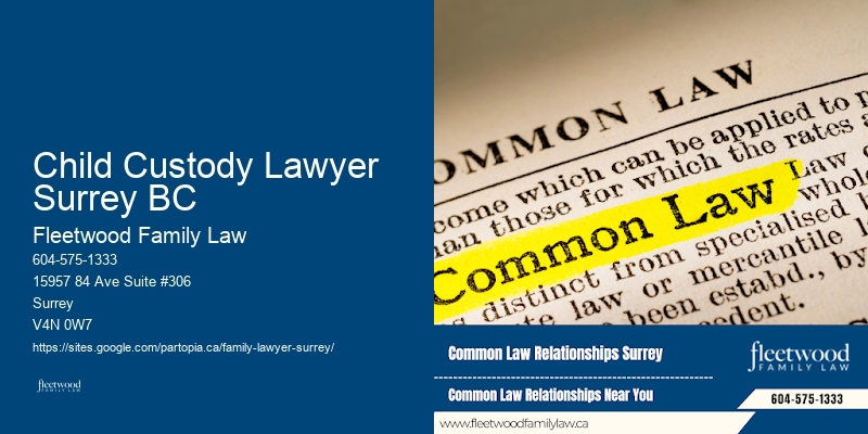 Child Custody Lawyer Surrey BC Guardianship and Custody Lawyers