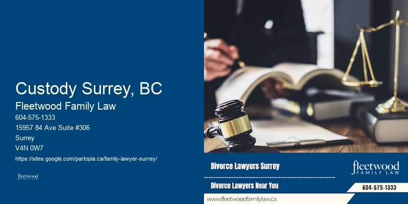 Custody Surrey, BC Family Law Disputes