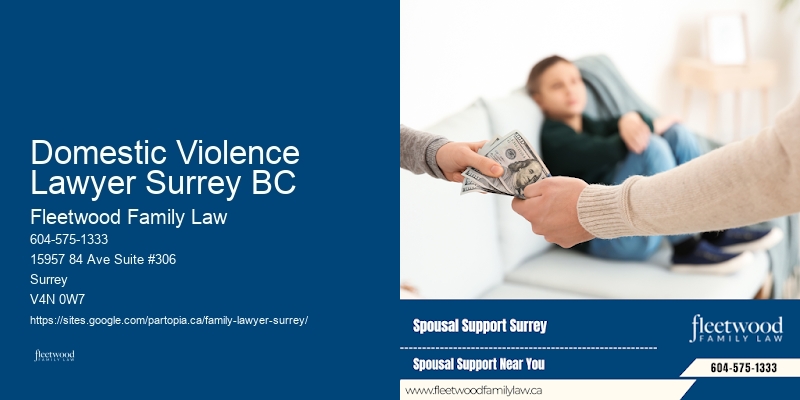 Child Custody Lawyer Near Me Domestic Violence Lawyer Surrey BC