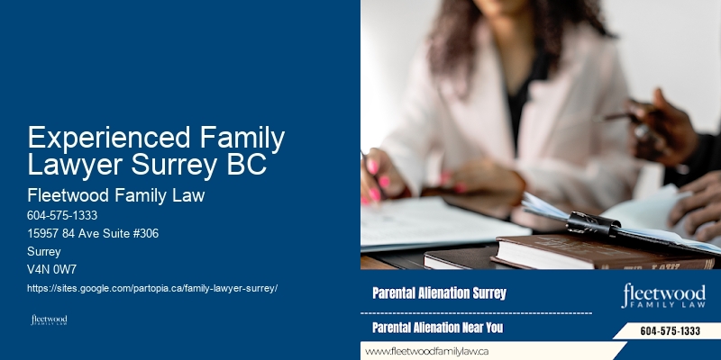 Family Law Case Review Experienced Family Lawyer Surrey BC BC