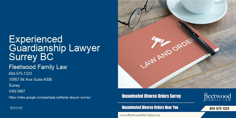 Child Custody Legal Advice Experienced Guardianship Lawyer Surrey BC