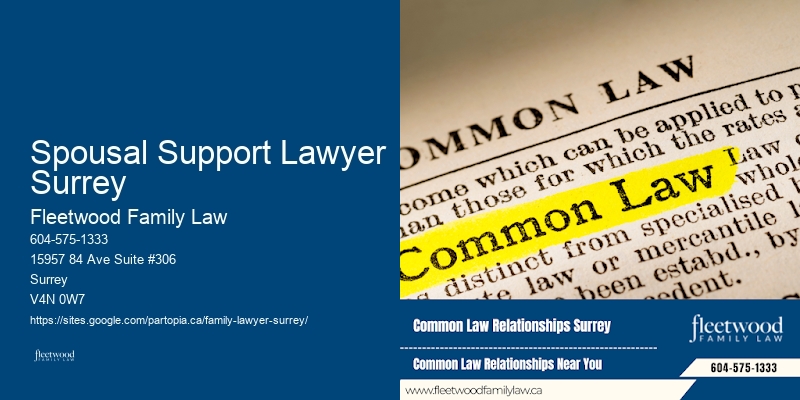 Child Guardianship Lawyer Spousal Support Lawyer Surrey BC