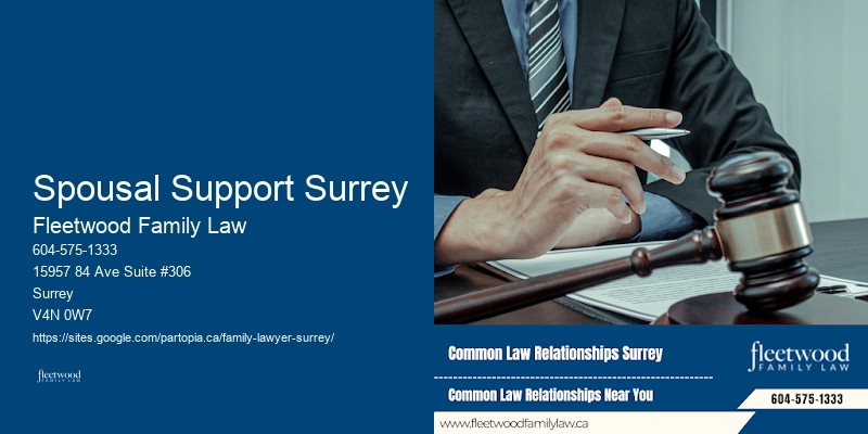 Experienced Family Lawyer Spousal Support Surrey