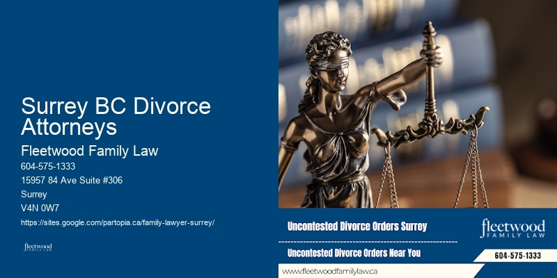 Top Child Custody Lawyers Surrey BC Divorce Attorneys BC