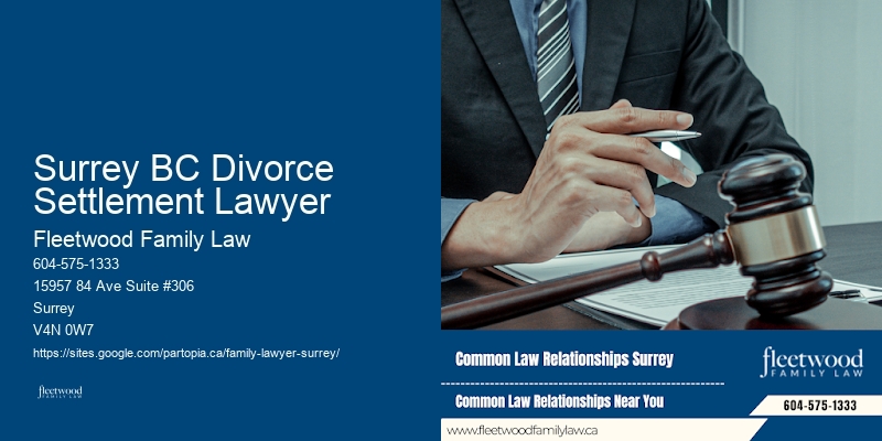 Surrey BC Divorce Settlement Lawyer Family Lawyer for Fathers' Rights