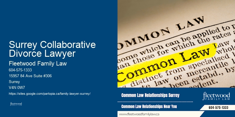 Surrey Collaborative Divorce Lawyer Domestic Violence Cases Attorney