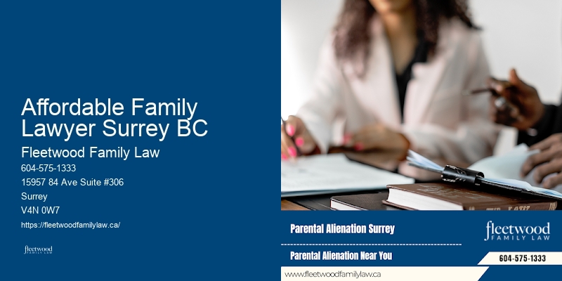 Affordable Family Lawyer Surrey BC BC Family Law Court Representation