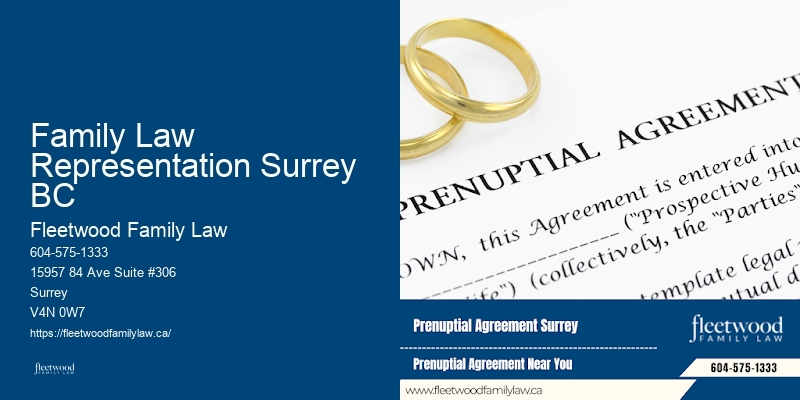 Best Family Lawyer in Family Law Representation Surrey BC BC