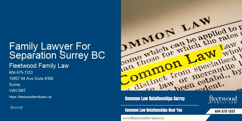Child Support Enforcement Lawyer Family Lawyer For Separation Surrey BC BC