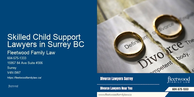 Legal support for family disputes Skilled Child Support Lawyers in Surrey BC BC