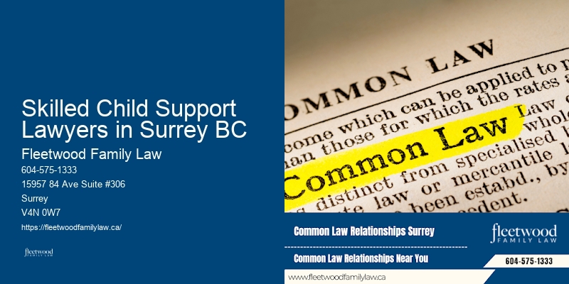 Marriage Dissolution Attorneys Skilled Child Support Lawyers in Surrey BC BC