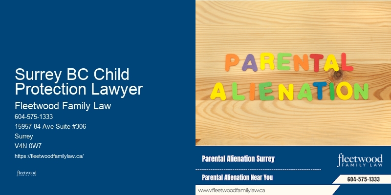 Family Law Disputes Surrey BC Child Protection Lawyer BC