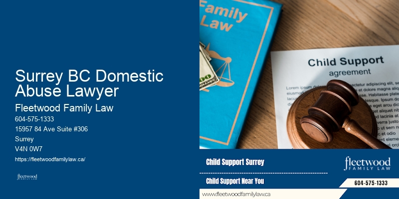 Domestic Relationship Legal Issues Surrey BC Domestic Abuse Lawyer BC