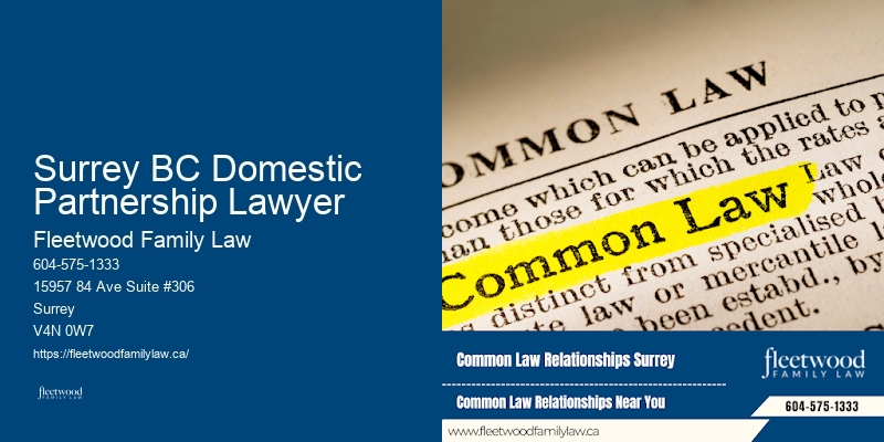 Domestic Abuse Legal Aid Surrey BC Domestic Partnership Lawyer BC