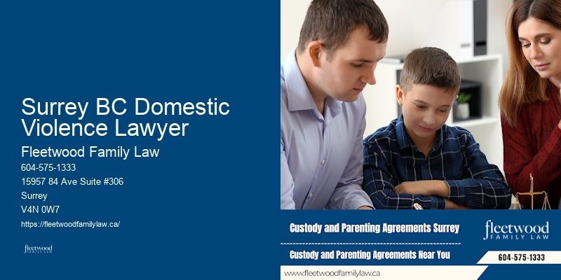 Family law litigation services Surrey BC Domestic Violence Lawyer
