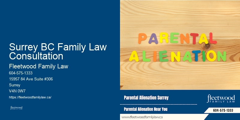 Custody and visitation legal services Surrey BC Family Law Consultation