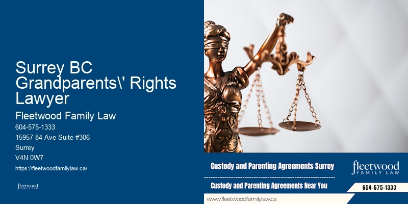 Surrey BC Grandparents' Rights Lawyer BC Alimony Lawyer