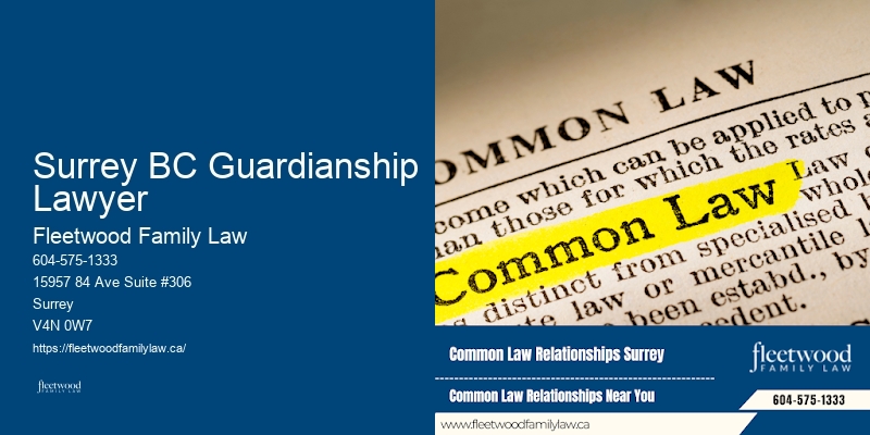 Surrey BC Guardianship Lawyer BC Same-Sex Divorce Lawyer