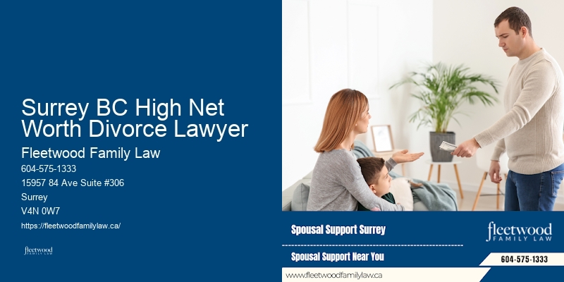 Surrey BC High Net Worth Divorce Lawyer BC Experienced Family Law Attorney