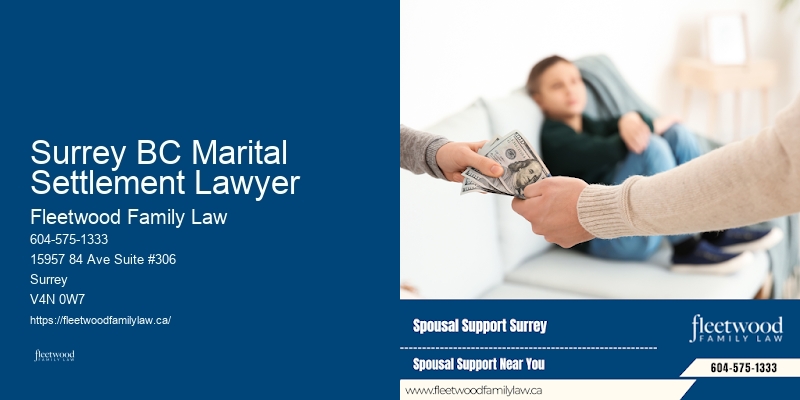 Family Law Expert Advice Surrey BC Marital Settlement Lawyer BC