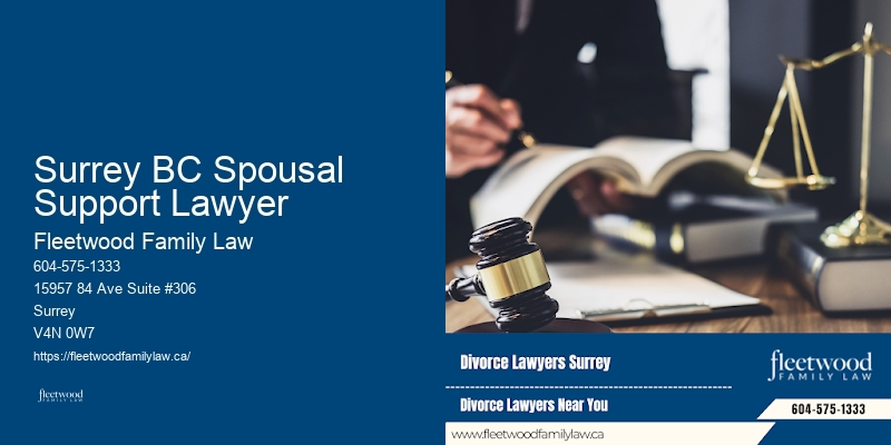 Skilled Child Support Lawyers in Surrey BC Spousal Support Lawyer BC