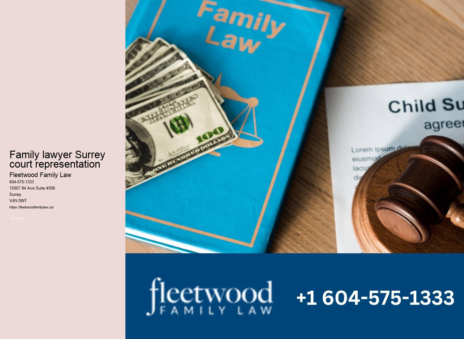 Custody Lawyer Surrey Bc