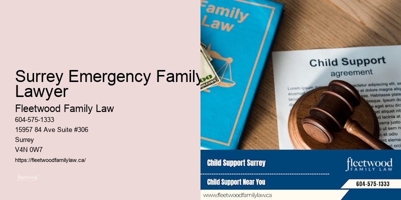 Surrey Emergency Family Lawyer