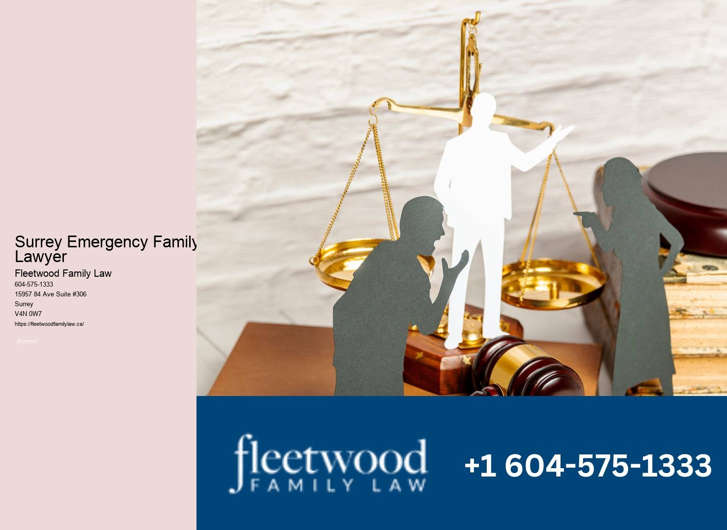 Best child custody mediator Surrey Emergency Family Lawyer