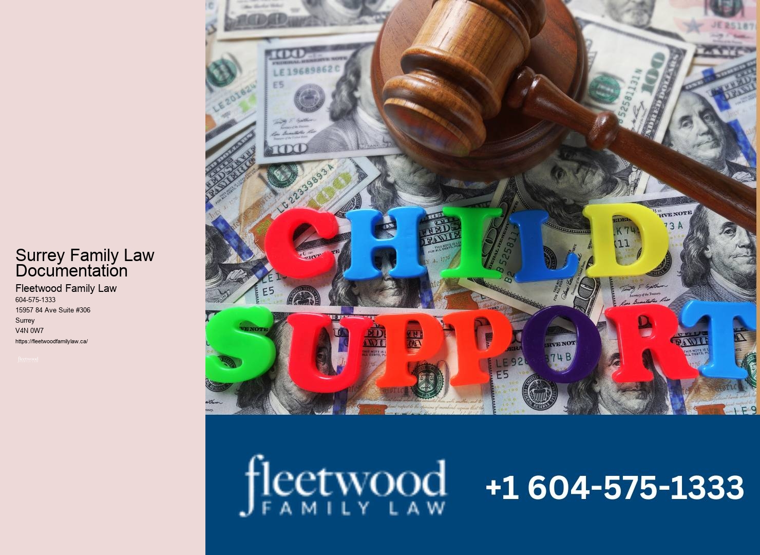 Experienced child support lawyer Surrey Family Law Documentation