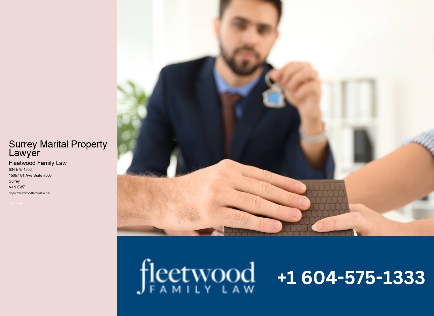 Surrey Marital Property Lawyer Guardianship Assistance