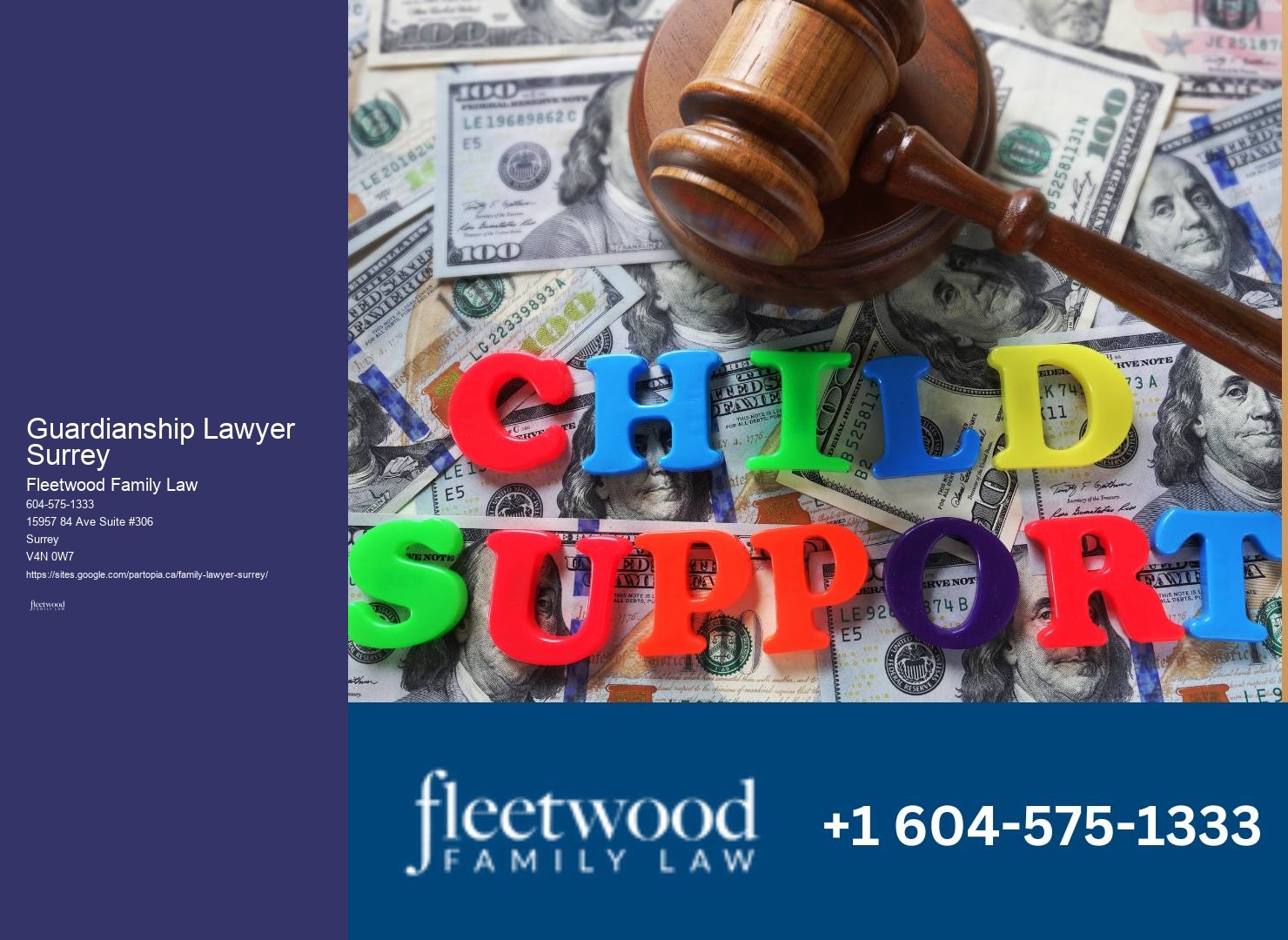 Guardianship Lawyer Surrey Restraining Order Lawyer
