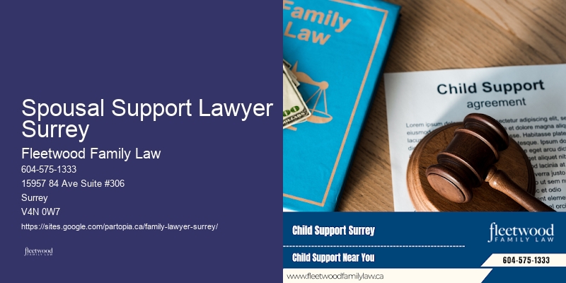 Spousal Support Lawyer Surrey