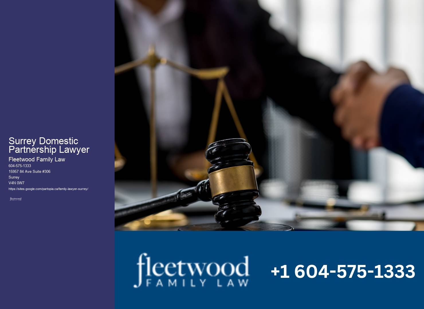 Surrey Domestic Partnership Lawyer parenting agreement lawyer
