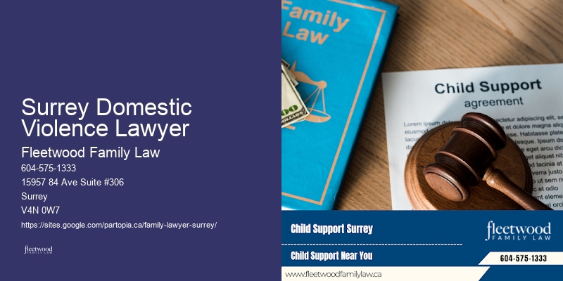 Surrey Domestic Violence Lawyer