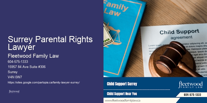 Surrey Parental Rights Lawyer