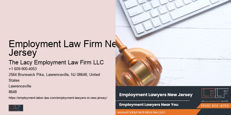 NJ Public Sector Employment Lawyer